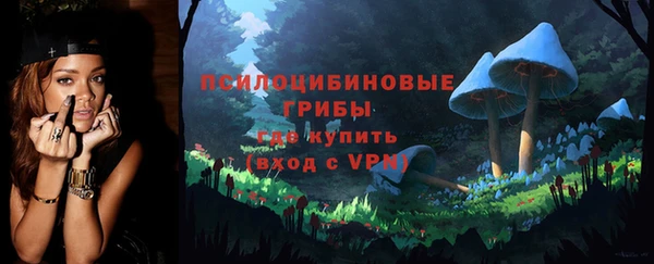 крисы Переславль-Залесский