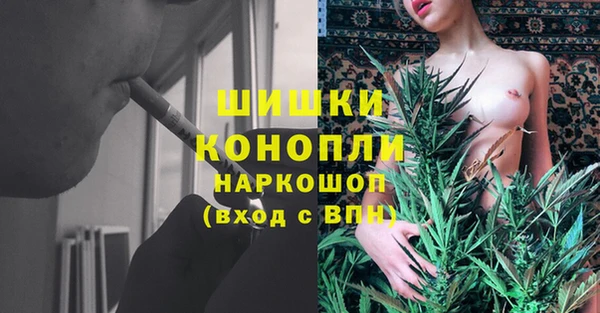 крисы Переславль-Залесский