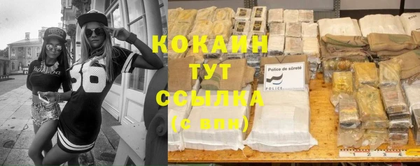 крисы Переславль-Залесский
